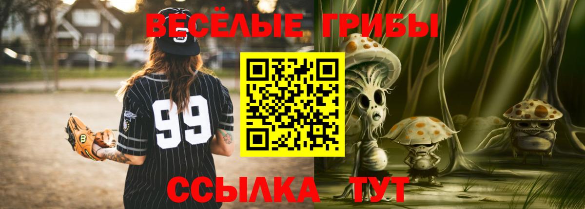 Заводоуковск  Галлюциногенные грибы Magic Shrooms  Вход с VPN  Галлюциногенные грибы мицелий 
